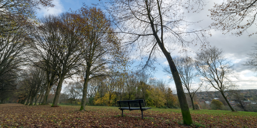 photo of a park in autumn in Farnham, Surrey.